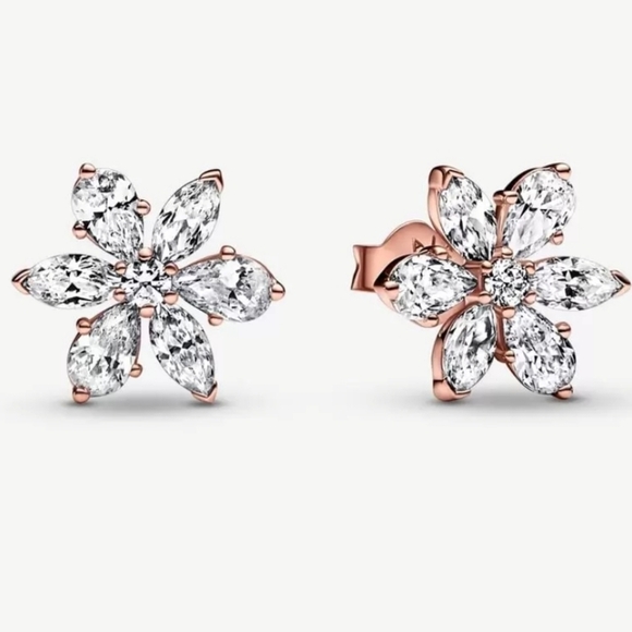 Pandora Sparkling Herbarium Cluster Stud Earrings - Picture 1 of 8